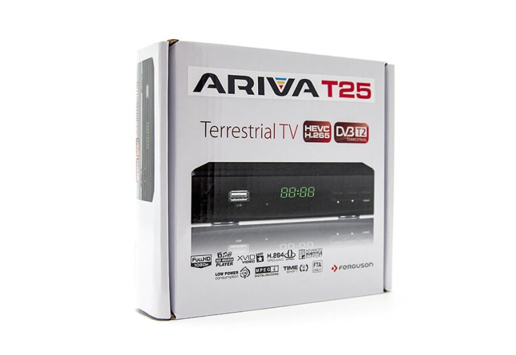 t20web04.jpg