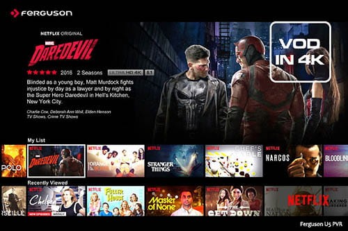 netflix2.jpg
